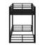 Metal Floor Bunk Bed For Kids, Teens, Adults-1476509123