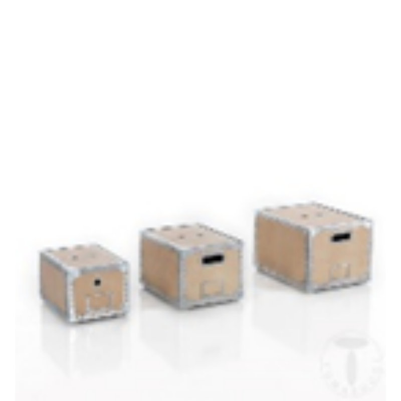 Irani 3 Piece Accent Trunk Set