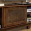 Meuble télé 67,9 po Mid-Century Modern Rattan-360213486