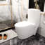 Toilette à double chasse blanche avec siège inclus
