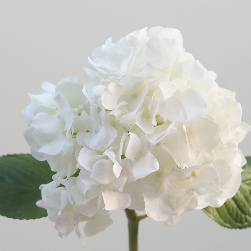 Hortensia blanc 18 po Real Touch, Blanc, 18" H x 8" W