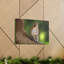 Wall Art on Canvas-756666872