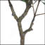 Ficus artificiel 51 po avec pot