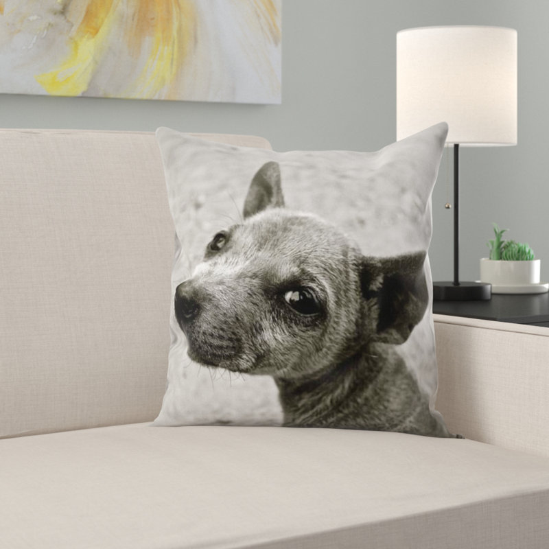 Coussin pour chien