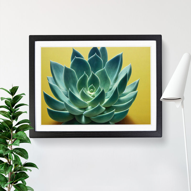 Splendorous Succulent Plant - Framed Print, Black, 46cm H x 64cm W x 2cm D