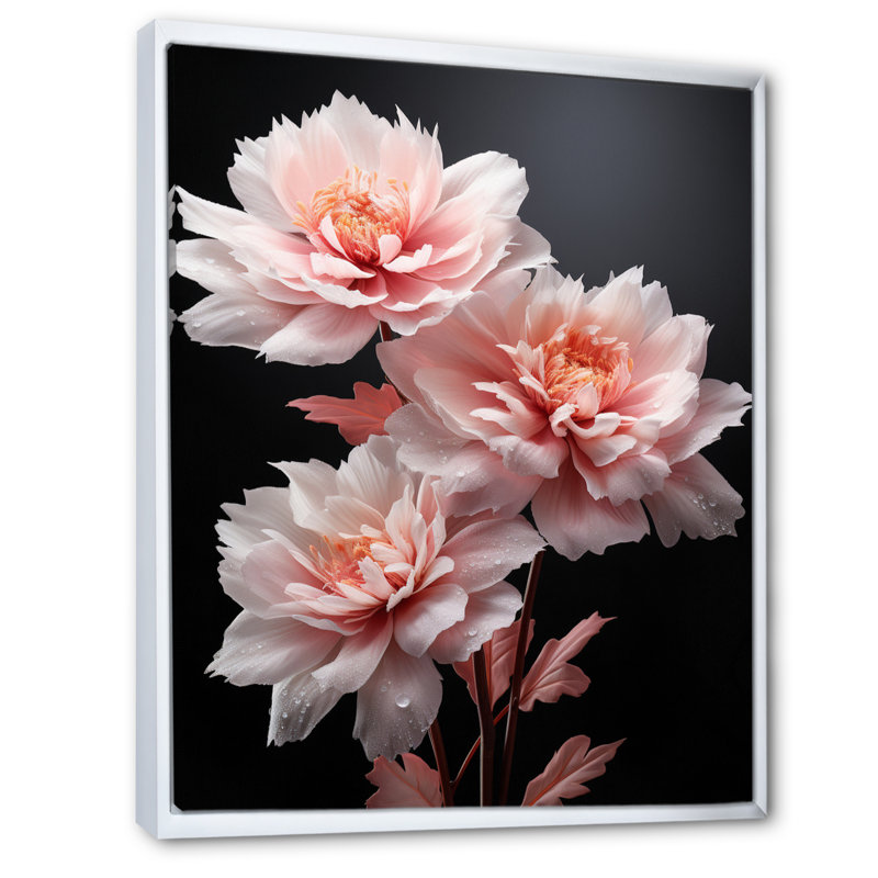 «Charolene Pink Black Mute Pivoines», reproduction sur toile, H 44 po x l 34 po x P 1,5 po, Cadre flottant blanc