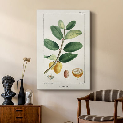 Turpin Tropical Botanicals V - galerie sur mesure