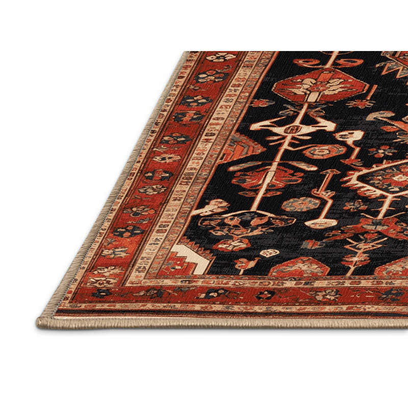Machine Washable Turkish Brown Area Rug, Rectangle 2' x 3'