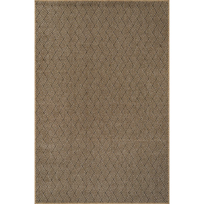 Indoor Outdoor Area Rug