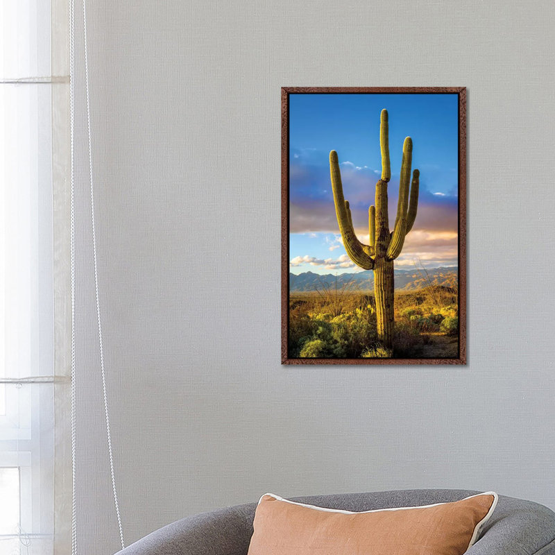 Sunset Saguaro National Park East III by Susanne Kremer - Gallery-Wrapped Canvas Giclée on Canvas, 66.04 cm H x 45.72 cm W