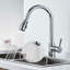 Belfry Kitchen Fitzgibbons Pull Out Kitchen Faucet