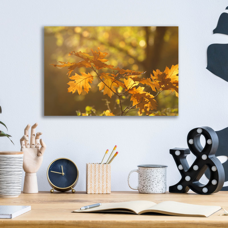 «Autumn Light» par Roeselien Raimond, H 12 po x l 16 po x P 0,13 po