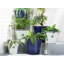 Ivor Pot Planter-41510289