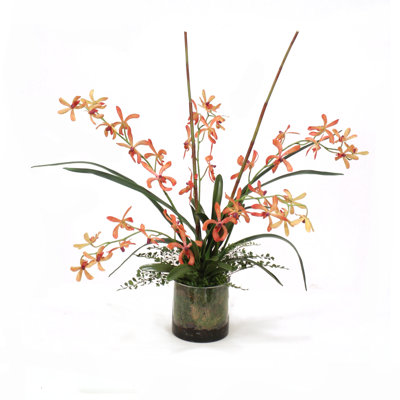 Vanda Orchid Floral Arrangement in Vase