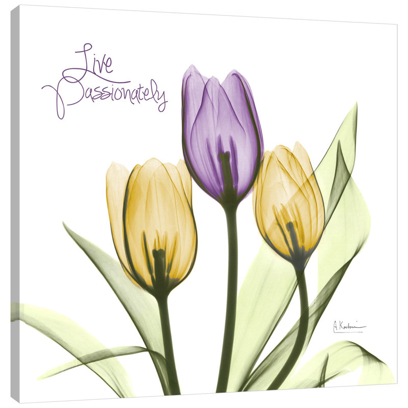 «Live Passionately Tulips», impression sur toile tendue, H 36 po x l 36 po