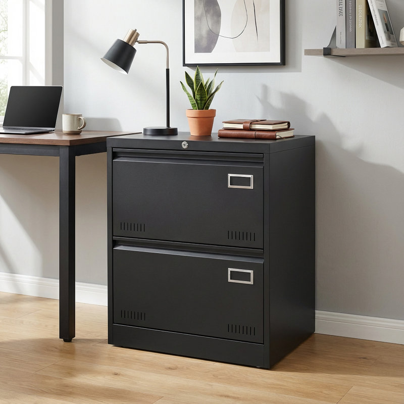23.6" Wide Lockable 2-Drawer Lateral File Cabinet, Black