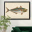 «Donovan Antique Fish III», impression sur toile encadrée-1214604013-1214604019