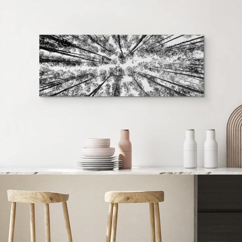 " Black And White Forest Tree "