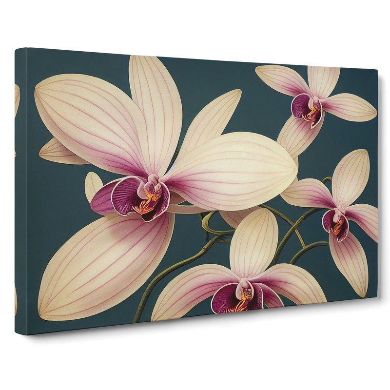 Wonderful Orchid Flowers - Wrapped Canvas, 50cm H x 76cm W x 3cm D
