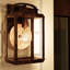 Laelia Bronze Outdoor Wall Lantern-16292082