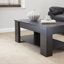 Adrianne Lift Top Coffee Table with Storage-20638062