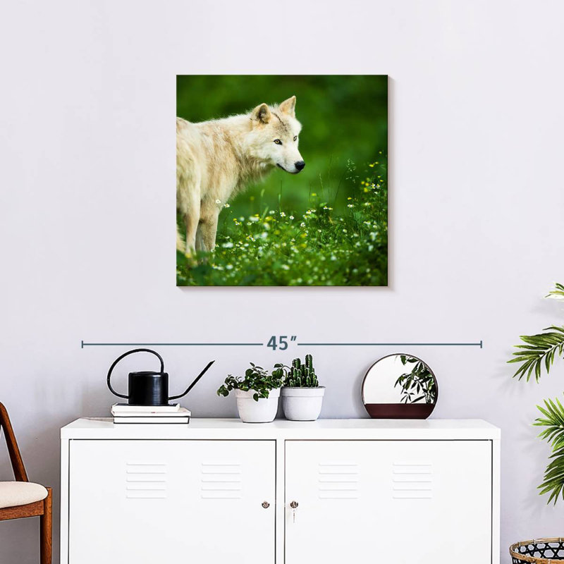 Crowle Arctic Wolf In Meadow