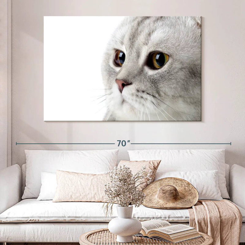 Crowle Fluffy Gray Cat, 34" H x 51" W
