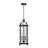 3-Light Outdoor Hanging Lantern in Iron Oxide