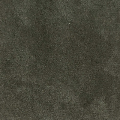 Tissu en suède clair