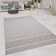 Nickelsville Shag Area Rug