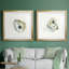 «Old Salt Shell I», ensemble de 2 reproductions d'art encadrées-2048829127-2118285822-2126001041