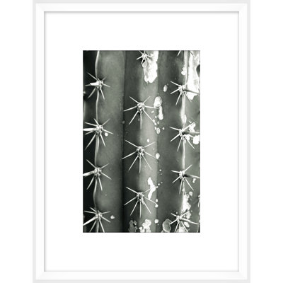 Silver Spike Small 4 - Photographie de cadre photo sur papier