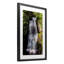 Cascade de forêt cascade, reproduction sous verre, conception de Jeff Poe-1179809440-1179809447