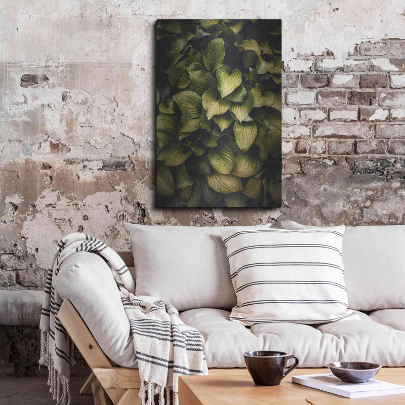 " Hostas Leaves " by Incado