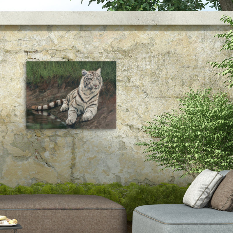 Toile d'extérieur David Stribble White Tiger Cub, H 35 po x l 47 po