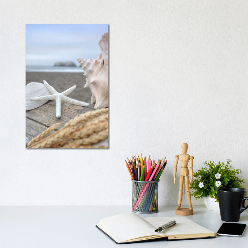 Crescent Beach Shells XII by Alan Blaustein - Print on Canvas, 20.32 cm H x 30.48 cm W, Wrapped Canvas