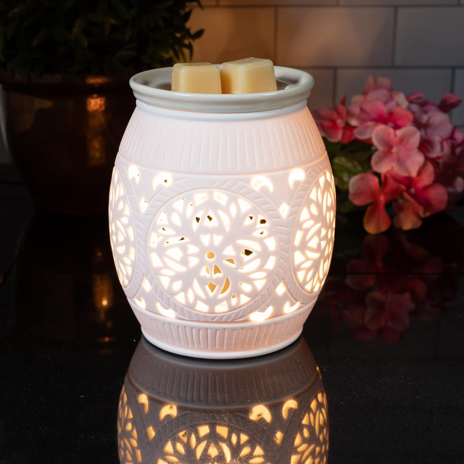 Wayfair  Wax Warmers