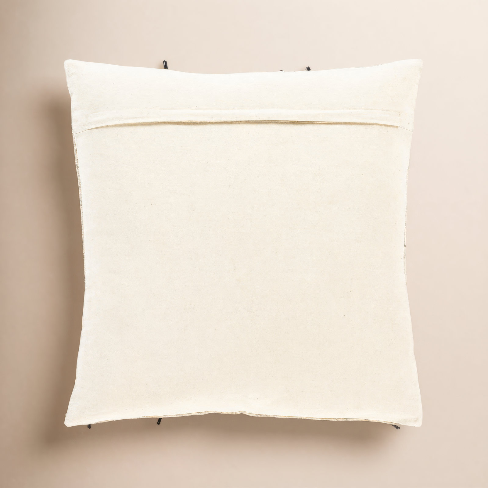 Santina Tassels Cotton Throw Pillow, 22" x 22", Down