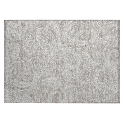 Cresley Paisley Indoor / Outdoor Rug