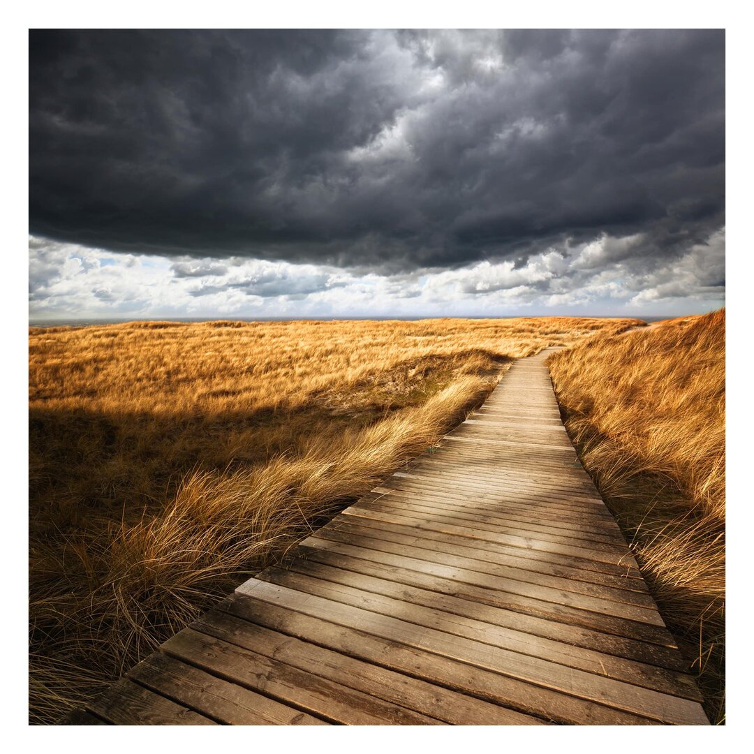 Strukturierte Tapete Path in the Dunes 1,92 m x 192 cm