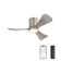 Apolino 42'' Ceiling Fan with LED Lights