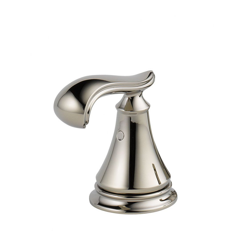 Accessoire de bidet Cassidy ™, Nickel poli brillant