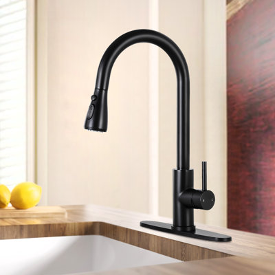 Pull Down kitchen faucet Single Handle with Sprayer