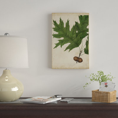 «Oak Leaves & Acorns II», impression sur toile