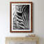 Zebra Colt - Photographie avec cadre photo-1635737524-1635737523