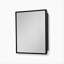 Armoire à pharmacie murale ou miroir encastrable 20 po x 26 po pour salle de bain ou salon