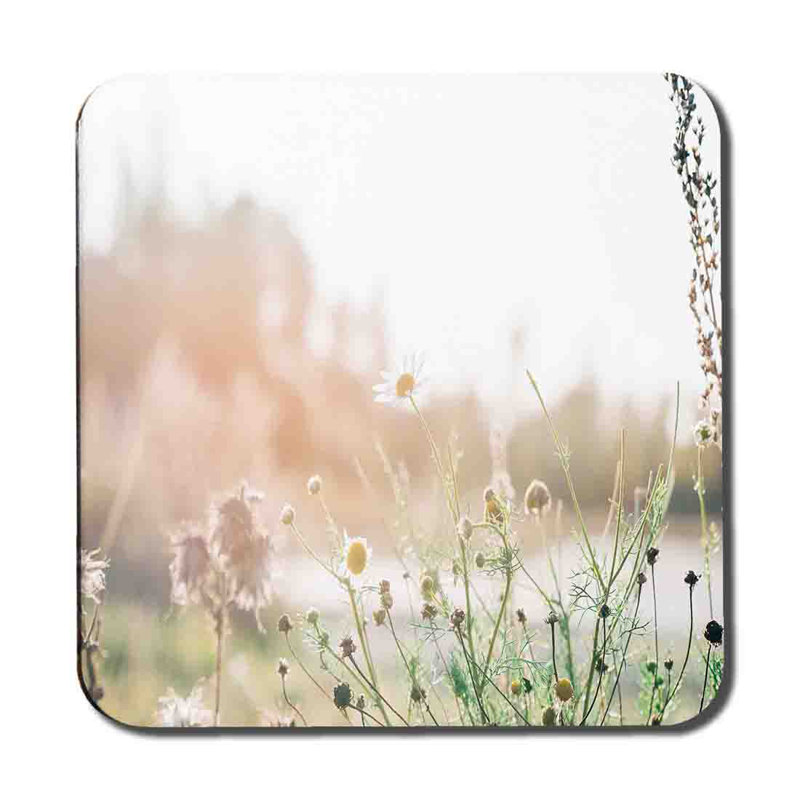 Arael Square 6 Piece Coaster Set