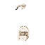 Garniture de douche Colfax, pomme de douche non incluse avec nickel poli-130675607