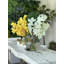 Vase de lune avec cymbidiums jaunes et vandas blancs-525134410