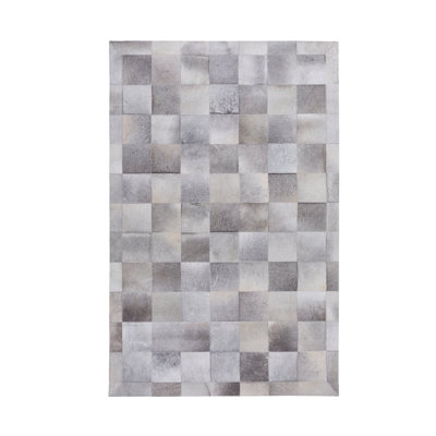 Dilbeck Hand Woven Indoor Rug